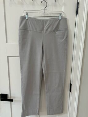 Jjill Women's Pants in Light Gray